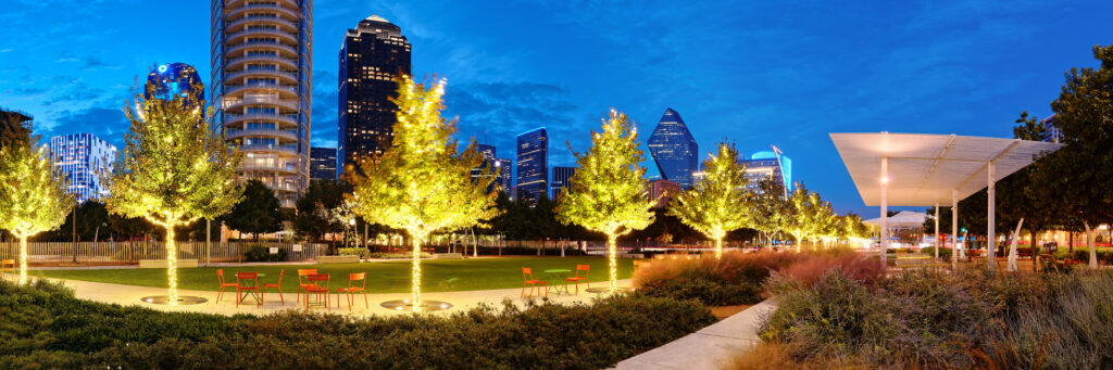 Park at night with trees illuminated from below