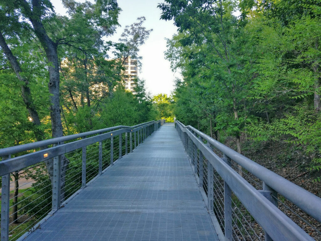 Katy trail walkway winding through trees